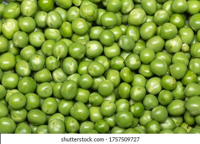 Green Pea Background. Pisum Sativum