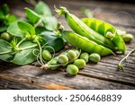 Green pea pods on a wooden table. Open pea pod. peas in a pod on a wooden table and lots of green peas.