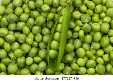 Green Peas. Green background. Green pea top view copy space. Fresh organic green peas. Vegetable harvesting.Beautiful close up of fresh peas and pea pods. Healthy vegetarian food