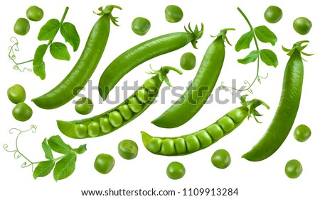 Green peas, pods and leaves set isolated on white background. Package design elements with clipping path
