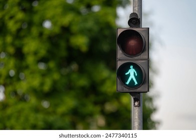 Green pedestrian signal lit, indicating walk, with trees and foliage in bright daylight.  - Powered by Shutterstock