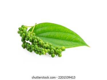 Green peppercorn on white background