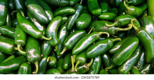 Green jalapeño peppers or capsicum annuum in market for sale. Close-up view.