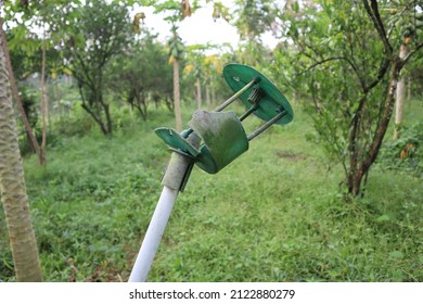 Green Pest Trap That Has Been Broken In The Middle Of The Garden.