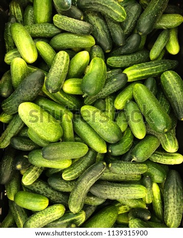 It’s pickling cucumber time again / washed pickled cucumbers