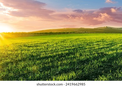 green picturesque farmland landscape with spring field covered with green salad grass with countryside view on rstic farm hills and amazing cloudy sunset on background