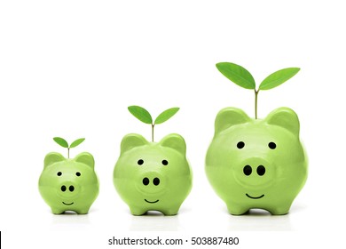 Green Piggy Banks With Small, Medium, And Large Size With Young Trees - Green Saving Concept