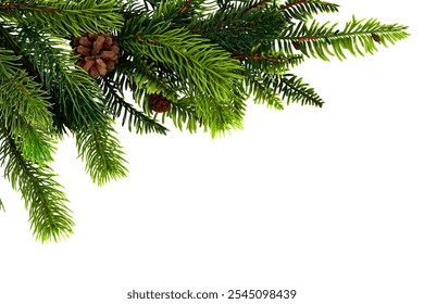 Green pine branches with brown pinecones isolated on a white background. A festive and natural element ideal for Christmas or winter holiday themes, symbolizing seasonal decor and nature. - Powered by Shutterstock