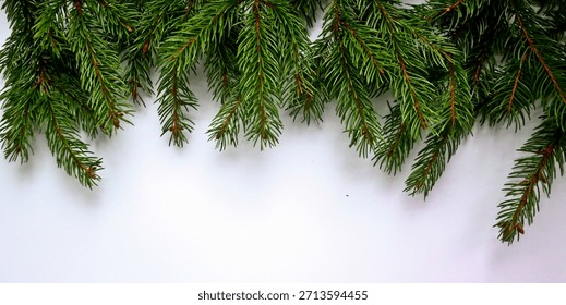 Green pine branches on a solid white background. White is a perfect color for the winter holidays.
Christmas tree ornament on a white background.