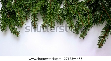 Green pine branches on a solid white background. White is a perfect color for the winter holidays.
Christmas tree ornament on a white background.