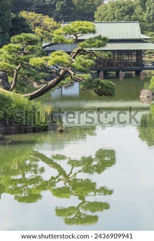 green pine tree reflected on the water surface of pond in kiyosumi japanese park in tokyo
