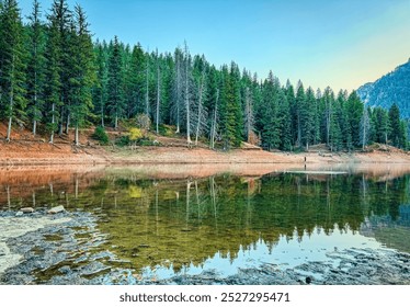 Green pine trees reflected in an alpine lake. Red Utah sand on the shore of Tibble Creek Reservoir contrasting the evergreen trees - Powered by Shutterstock