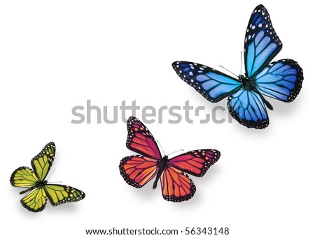 Green pink and blue butterflies isolated on white with soft shadow beneath each
