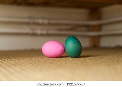 Green And Pink Dyed Easter Egg, Hidden For An Egg Hunt Inside A House, April