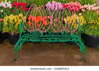 Green and pink outdoor metal bench in the shape of tulips with a background of colorful potted tulip flowers in spring bloom.