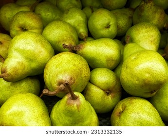 Green pir Bartlett fresh from the farm, fruit background - Shutterstock ID 2313332135