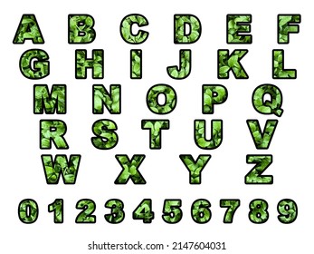 Green Plant Alphabet and Numbers