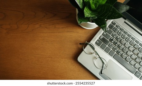 Green plant with blurred background of laptop with glasses on wooden table background. Wooden space for logo or text e.g. presentation, inspirational and motivational quotes (selective focus on plant) - Powered by Shutterstock