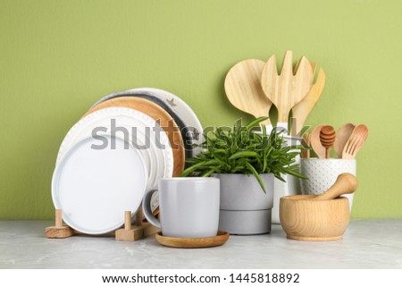 Green plant and different kitchenware on table near color wall. Modern interior design