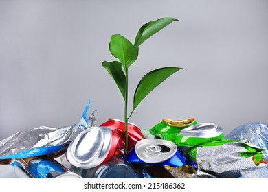 Green plant growing among cans on grey background - Shutterstock ID 215486362