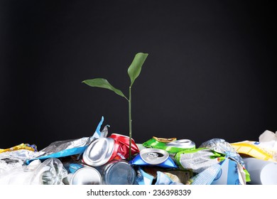 Green plant growing among cans on black background - Shutterstock ID 236398339