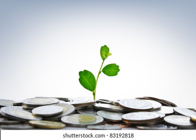 Green plant growing from coins