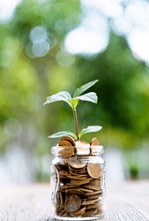 Green Plant Growing In Glass Jar With Coins.