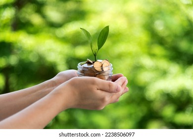 Green plant growth in coin jar