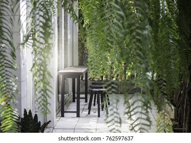 Green Plant Indoor Home Garden, Stock Photo