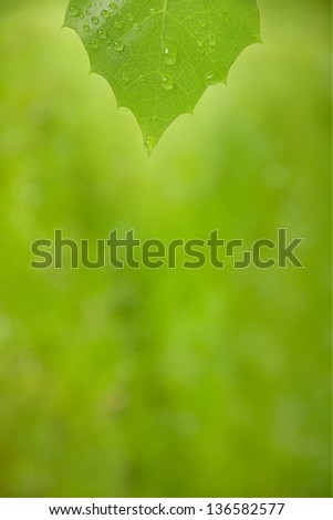 Similar – Image, Stock Photo Heart of a grain in a barley field