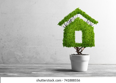 Green plant in pot shaped like house