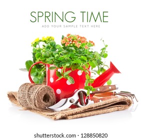 Green Plant In Red Watering Can With Garden Tool Isolated On White Background