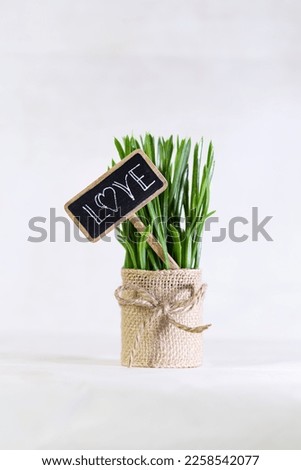 A green plant in a small wicker basket or sackcloth with a small blackboard as a poster with the word love. The slate is supported by a small wooden stick in the flowerpot. Vertical