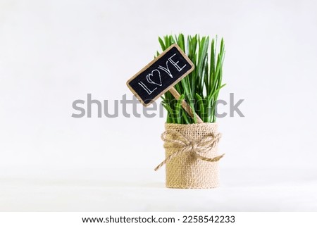 Green plant in a small wicker basket or sackcloth with a small blackboard as a poster with the word love. The slate is supported by a small wooden stick in the flowerpot.