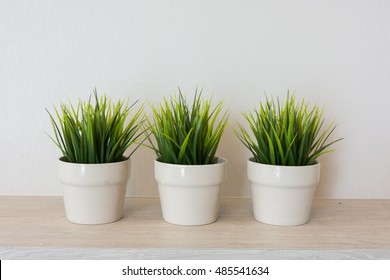 Green plant in three white flowerpots on a wooden desk