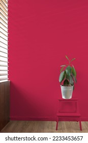 Green plant in a vase decorated for room. Color of the year 2023, viva magenta. - Shutterstock ID 2233453657