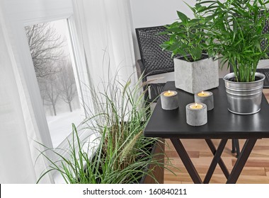 Green Plants And Candles Decorating A Room, With Winter Landscape Behind The Window.