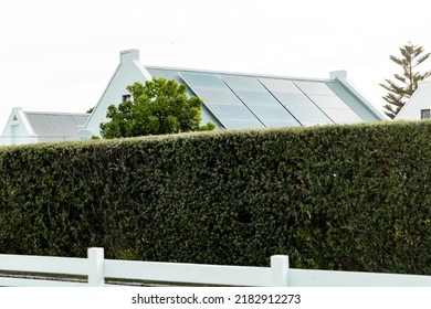 Green Plants Fence With Solar Panels On Rooftop Of Houses In Background Against Clear Sky. Copy Space, Nature, Protection, Building, Solar Energy, Electricity, Sustainability Concept.