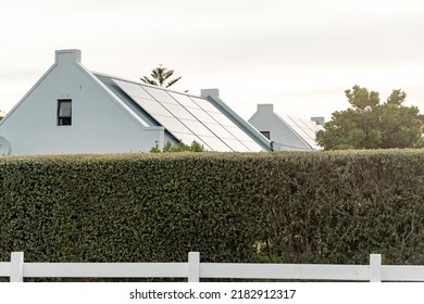 Green Plants Fence With Solar Panels Installed On Rooftop Of Houses In Background Against Clear Sky. Copy Space, Nature, Protection, Building, Solar Energy, Electricity, Sustainability.
