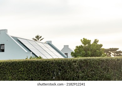 Green Plants Fence In Yard With Solar Panels On Rooftop Of Houses In Background Against Clear Sky. Copy Space, Nature, Protection, Building, Solar Energy, Electricity, Sustainability Concept.