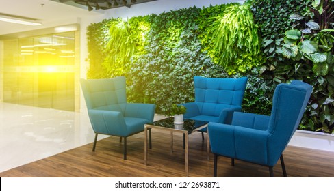 Green Plants In Large Corporate Offices, Good Environment And Improved Work Efficiency