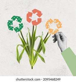 Green Plants With Recycling Sign Like Flower Buds. Planting Of Greenery. Modern Design. Conceptual, Contemporary Art Collage. Eco, Ecology, Care. Environmental Challenges