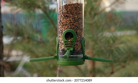 Green Plastic Bird Feeder With Seeds On A Tree In The City Park Or Autumn Forest. Feed For Wild Birds In Cold Season. House With A Red Roof And Pine Tree Background.