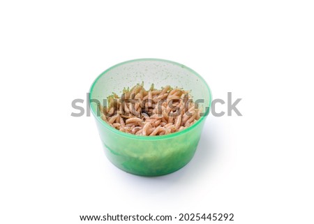 green plastic container, box with live bait for fishing - maggots, isolated on white background