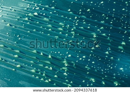 Aerial View Of People Crowd Having Fun On Beach