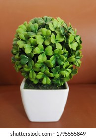 Green plastic leaf ball shape In white square pots On a brown leather sofa