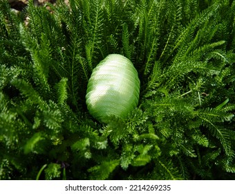 Green Plastic Nylon Easter Egg In The Grass