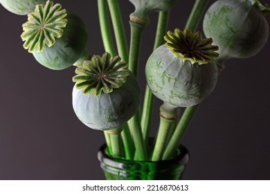 GREEN POPPY SEED PODS IN A GREEN GLASS VASE