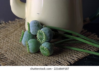 GREEN POPPY SEED PODS ON A PIECE OF HESSIAN WITH A CREAM COLORED ENAMEL KETTLE ON A TABLE TOP