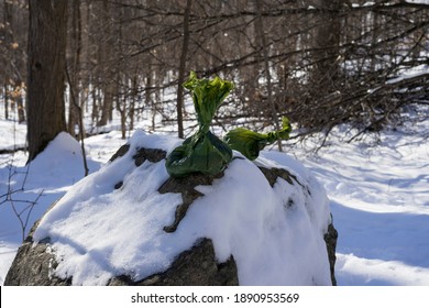 Green pouches with dog turd on a big stone in a winter park.